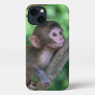 Niedliche Kleintiere   Baby Monkey iPhone Hülle