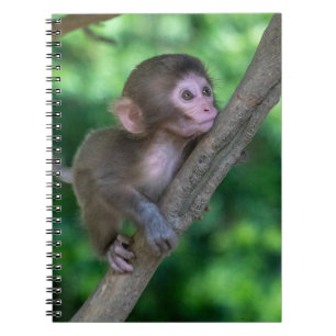 Niedliche Kleintiere Baby Monkey Notizblock
