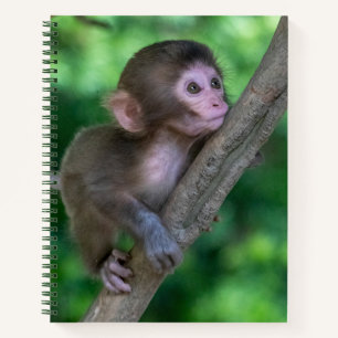 Niedliche Kleintiere Baby Monkey Notizbuch
