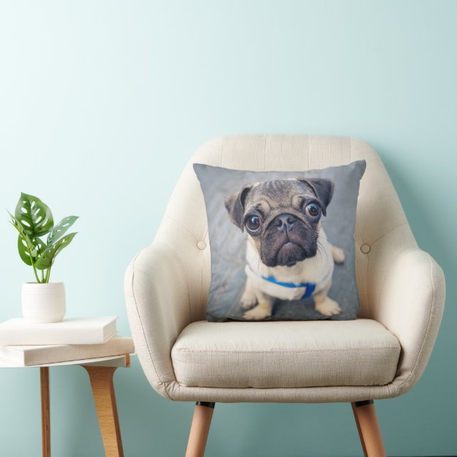 Niedliche Kleintiere | Baby Mops Kissen (Stuhl )