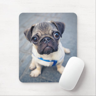 Niedliche Kleintiere Baby Mops Mousepad