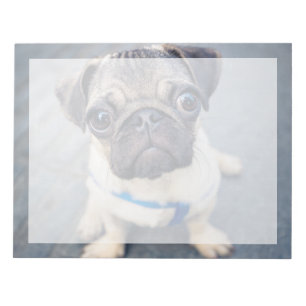 Niedliche Kleintiere Baby Mops Notizblock