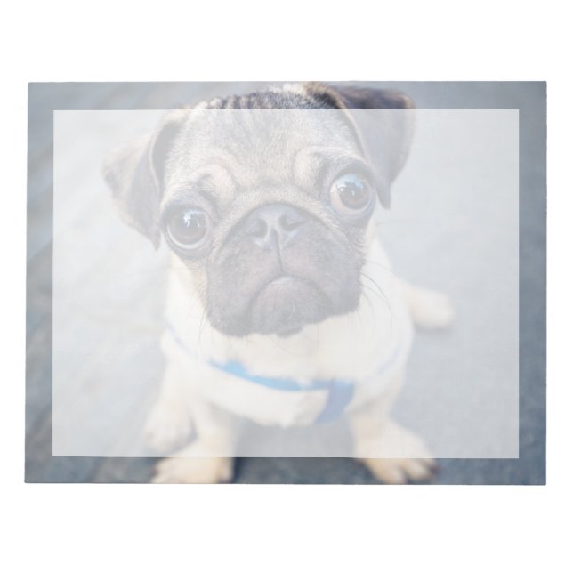 Niedliche Kleintiere | Baby Mops Notizblock (Vorderseite)