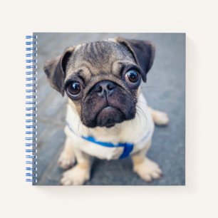 Niedliche Kleintiere Baby Mops Notizbuch