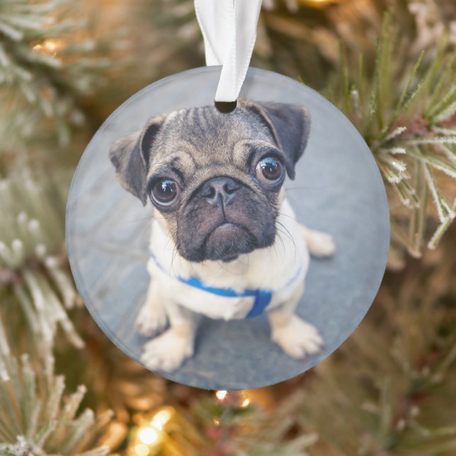 Niedliche Kleintiere | Baby Mops Ornament (Baum)