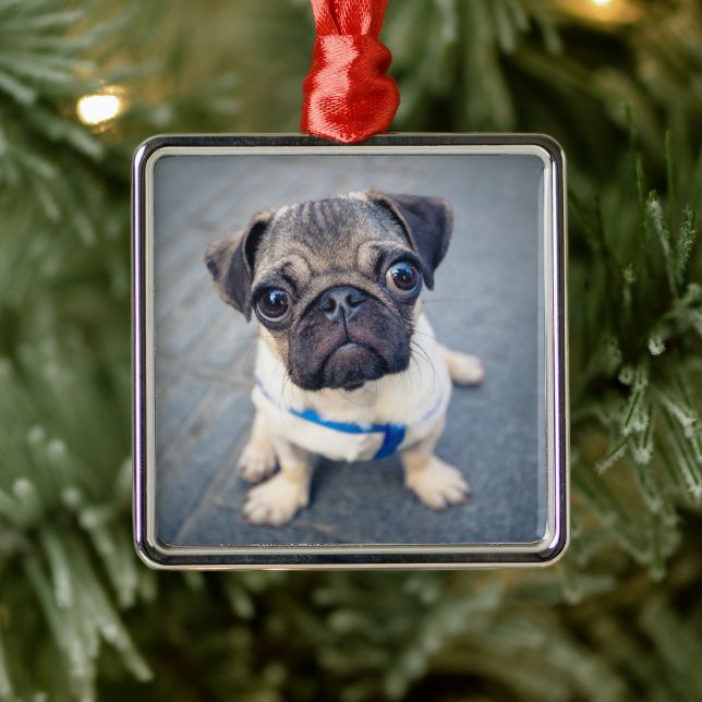 Niedliche Kleintiere | Baby Mops Ornament Aus Metall (Baum)