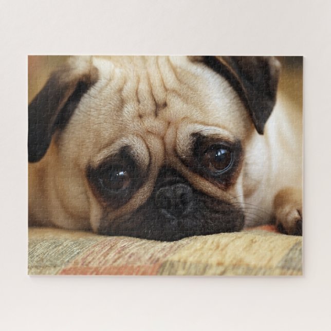 Niedliche Kleintiere | Baby Mops Puppy (Horizontal)
