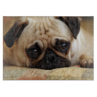 Niedliche Kleintiere | Baby Mops Puppy
