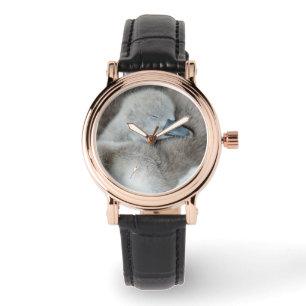 Niedliche Kleintiere   Baby Mute Swan Armbanduhr