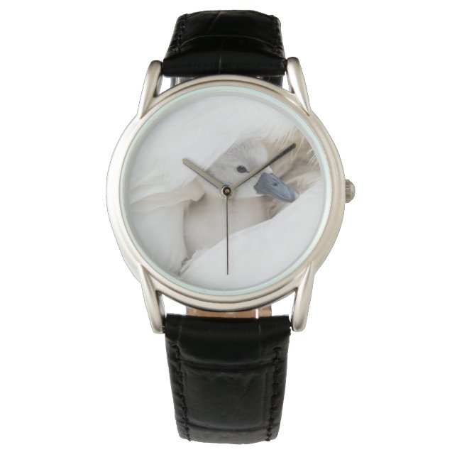 Niedliche Kleintiere | Baby Mute Swan Armbanduhr (Vorderseite)