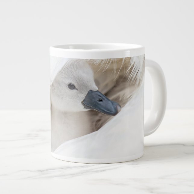 Niedliche Kleintiere | Baby Mute Swan Jumbo-Tasse (Vorderseite Rechts)