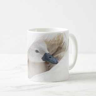 Niedliche Kleintiere   Baby Mute Swan Kaffeetasse