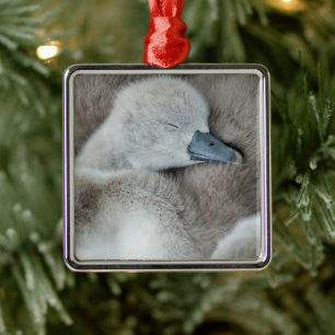Niedliche Kleintiere Baby Mute Swan Ornament Aus Metall
