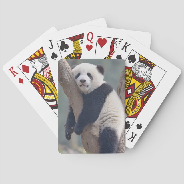 Niedliche Kleintiere | Baby Panda Bärenzucht Spielkarten (Rückseite)