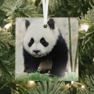 Niedliche Kleintiere   Baby Panda Bear Ornament Aus Glas