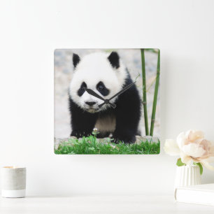 Niedliche Kleintiere   Baby Panda Bear Quadratische Wanduhr