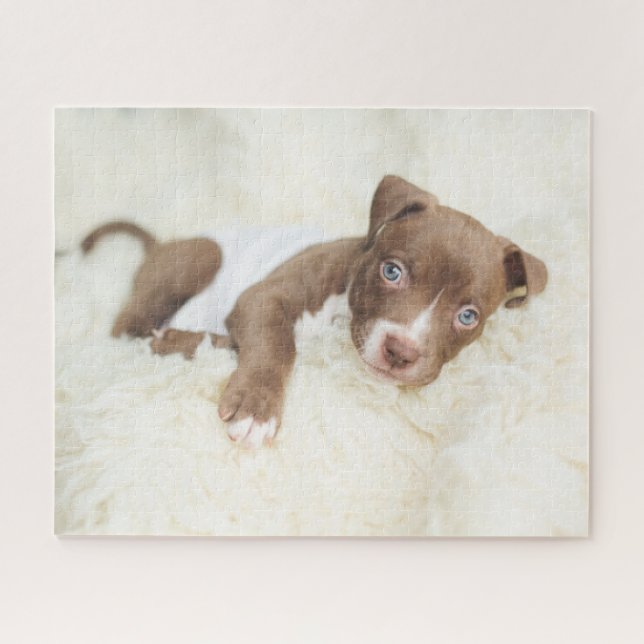 Niedliche Kleintiere | Baby Pit Bull Puppy (Horizontal)