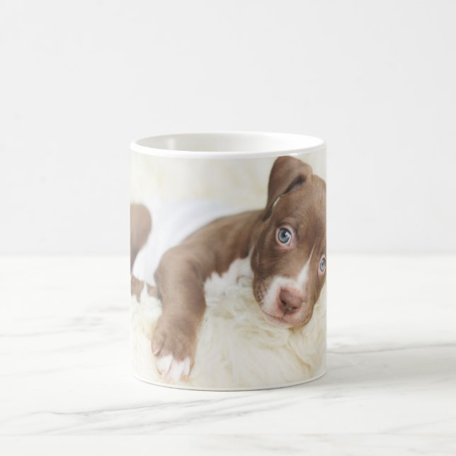 Niedliche Kleintiere | Baby Pit Bull Puppy Kaffeetasse (Mittel)