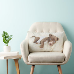 Niedliche Kleintiere   Baby Pit Bull Puppy Lendenkissen