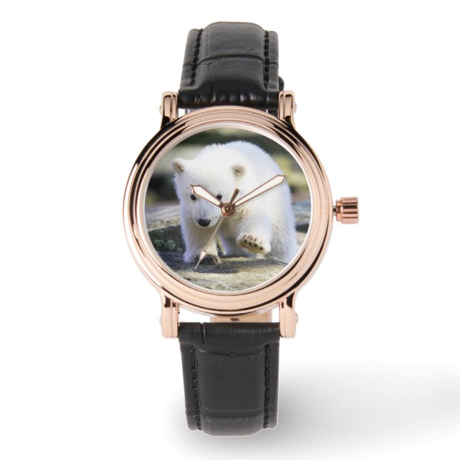 Niedliche Kleintiere | Baby Polar Bear Armbanduhr (Vorderseite)