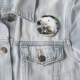 Niedliche Kleintiere   Baby Polar Bear Button