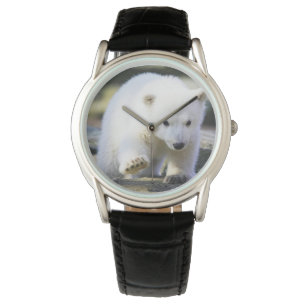 Niedliche Kleintiere   Baby Polar Bear Cube Armbanduhr