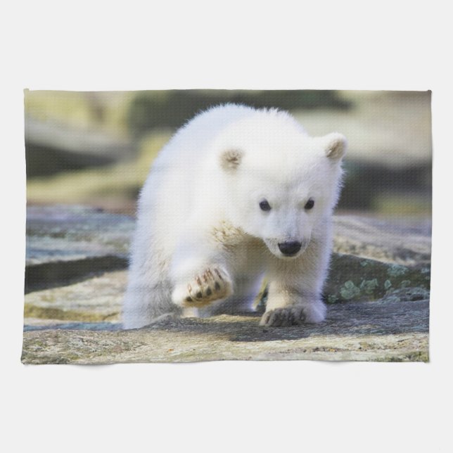 Niedliche Kleintiere | Baby Polar Bear Cube Geschirrtuch (Horizontal)