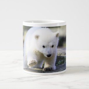 Niedliche Kleintiere   Baby Polar Bear Cube Jumbo-Tasse