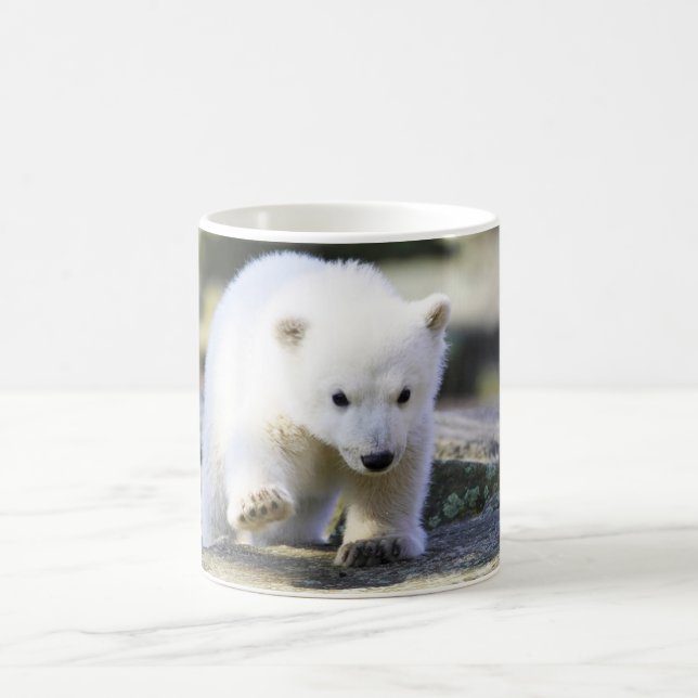 Niedliche Kleintiere | Baby Polar Bear Cube Kaffeetasse (Mittel)