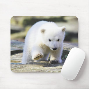 Niedliche Kleintiere Baby Polar Bear Cube Mousepad