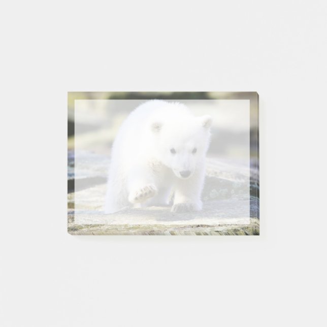 Niedliche Kleintiere | Baby Polar Bear Cube Post-it Klebezettel (Vorderseite)