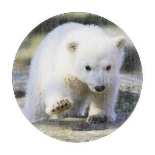 Niedliche Kleintiere Baby Polar Bear Cube Schneidebrett