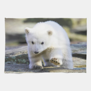 Niedliche Kleintiere   Baby Polar Bear Geschirrtuch