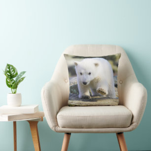 Niedliche Kleintiere   Baby Polar Bear Kissen