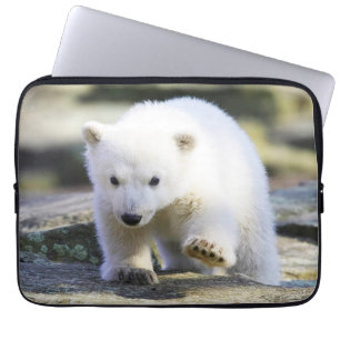 Niedliche Kleintiere Baby Polar Bear Laptopschutzhülle
