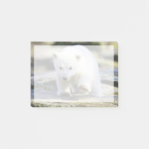 Niedliche Kleintiere Baby Polar Bear Post-it Klebezettel