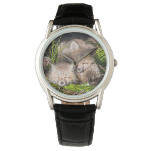 Niedliche Kleintiere   Baby Red Fox Kits Schlafen Armbanduhr