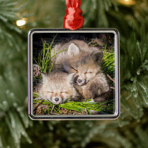 Niedliche Kleintiere   Baby Red Fox Kits Schlafen Ornament Aus Metall