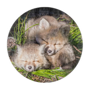 Niedliche Kleintiere Baby Red Fox Kits Schlafen Schneidebrett