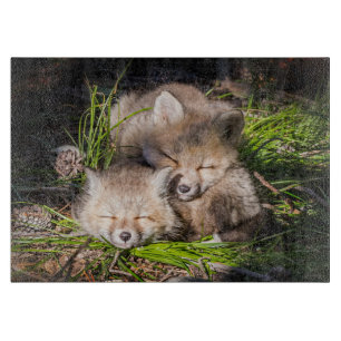 Niedliche Kleintiere Baby Red Fox Kits Schlafen Schneidebrett