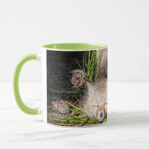 Niedliche Kleintiere Baby Red Fox Kits Schlafen Tasse