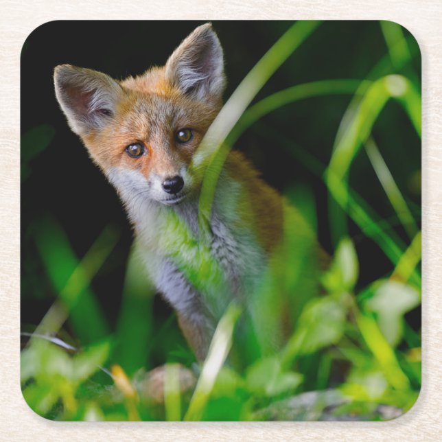 Niedliche Kleintiere | Baby Red Fox Rechteckiger Pappuntersetzer (Vorderseite)