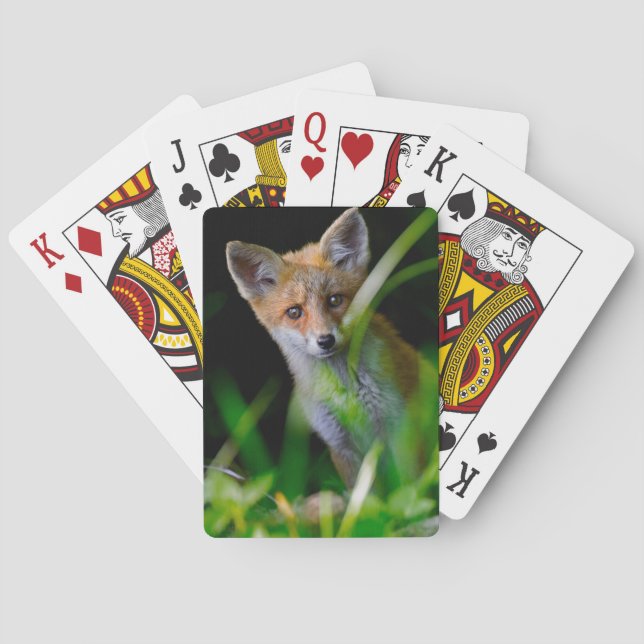 Niedliche Kleintiere | Baby Red Fox Spielkarten (Rückseite)