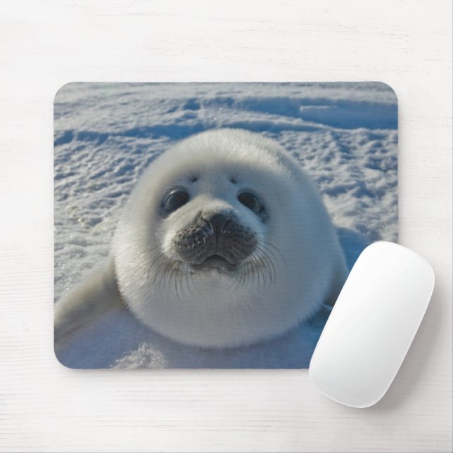 Niedliche Kleintiere | Baby-Siegel Mousepad (Mit Mouse)