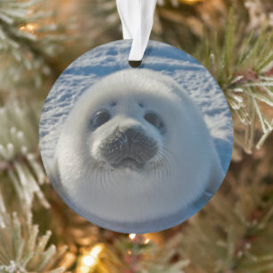 Niedliche Kleintiere   Baby-Siegel Ornament