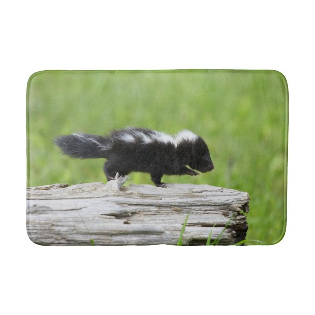 Niedliche Kleintiere | Baby Skunk Badematte (Vorderseite)