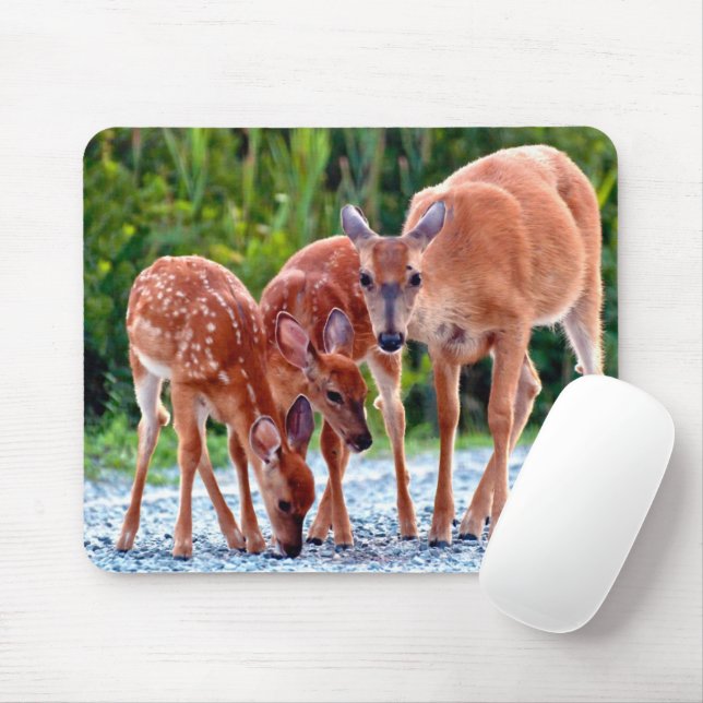 Niedliche Kleintiere | Babygewächse Mousepad (Mit Mouse)
