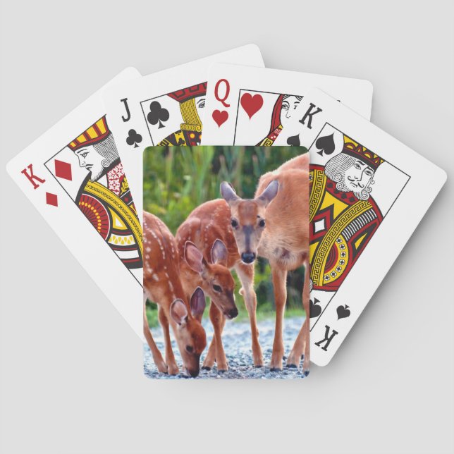 Niedliche Kleintiere | Babygewächse Spielkarten (Rückseite)