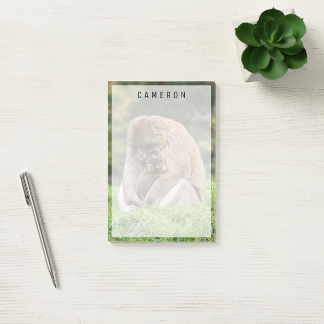 Niedliche Kleintiere | Barbary Macaque Family Post-it Klebezettel (Büro)