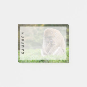 Niedliche Kleintiere Barbary Macaque Family Post-it Klebezettel
